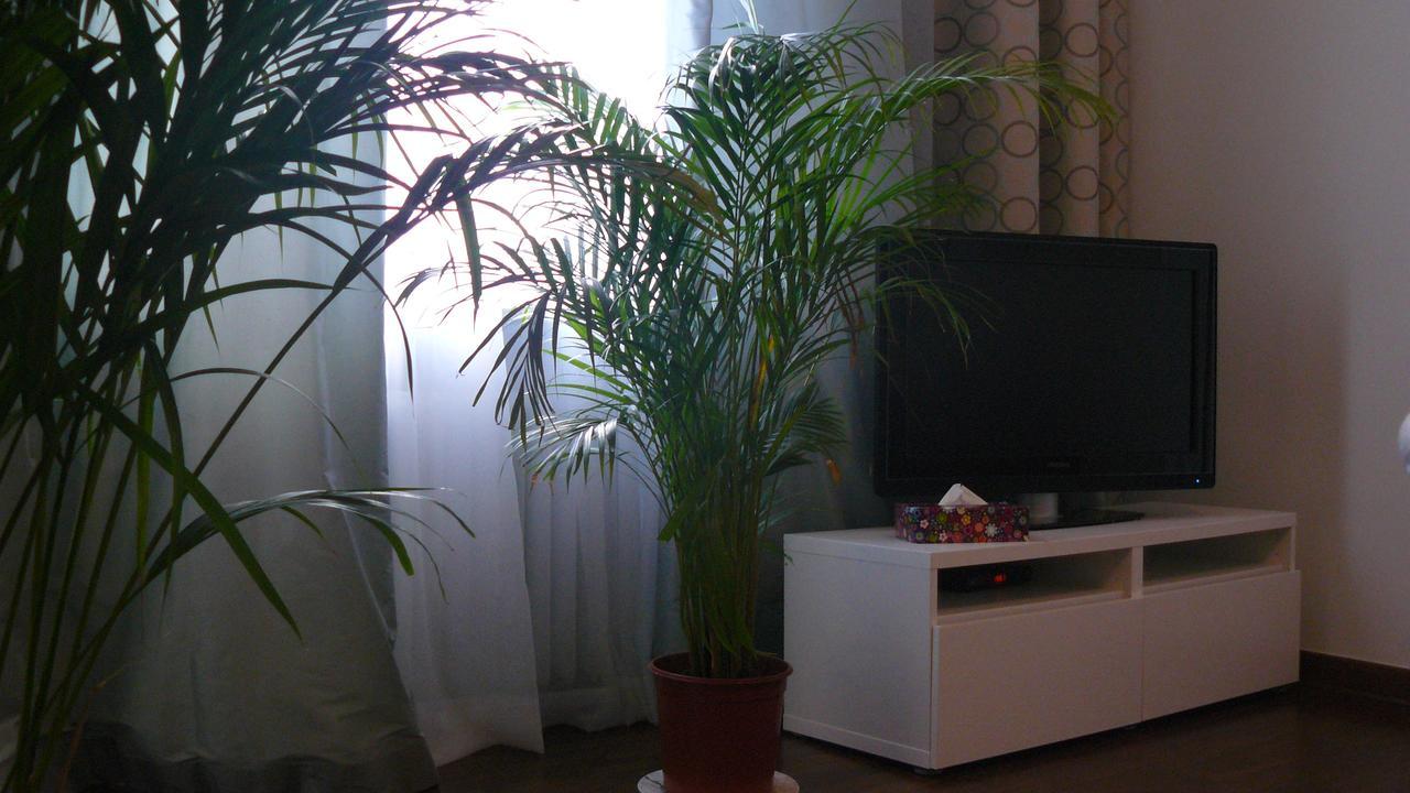Apartament Chmielna Apartment Warsawa Bagian luar foto